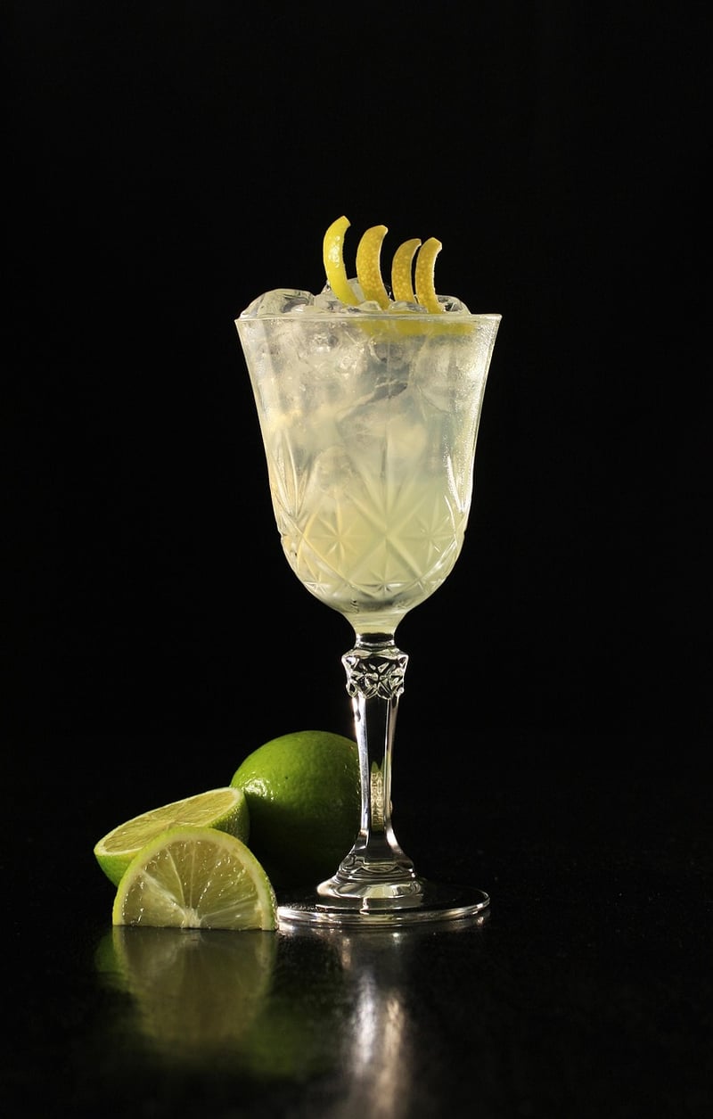 Artisanal Gin Tasting